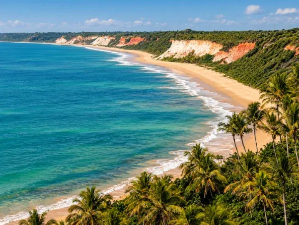 Praia da Pitinga — foto vertical